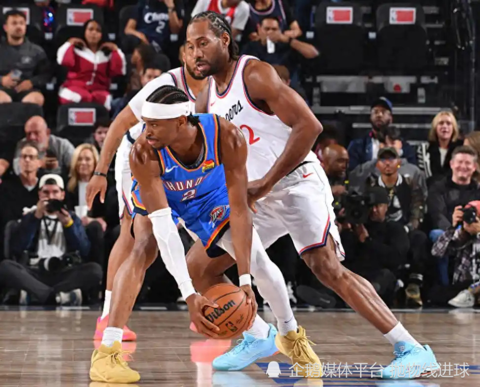 的毫无疑问 的毫无疑问