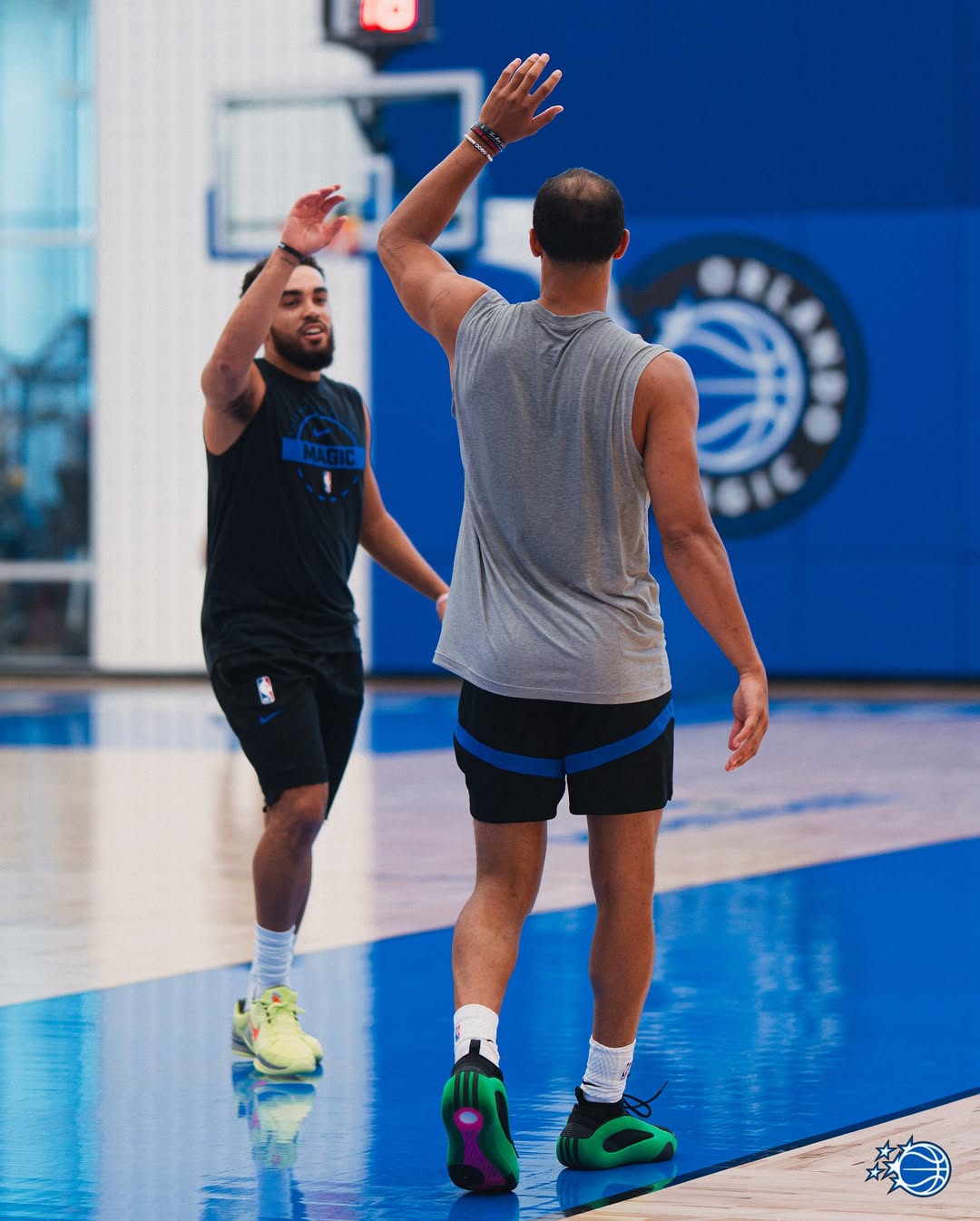 照与球迷分, tenan, img